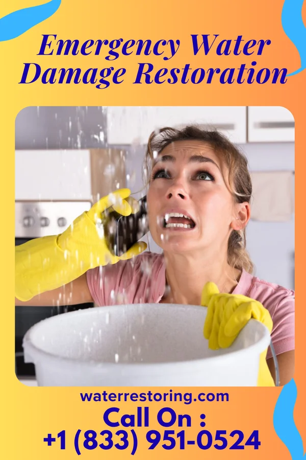 Emergency Water Damage Restoration in Preston, TX