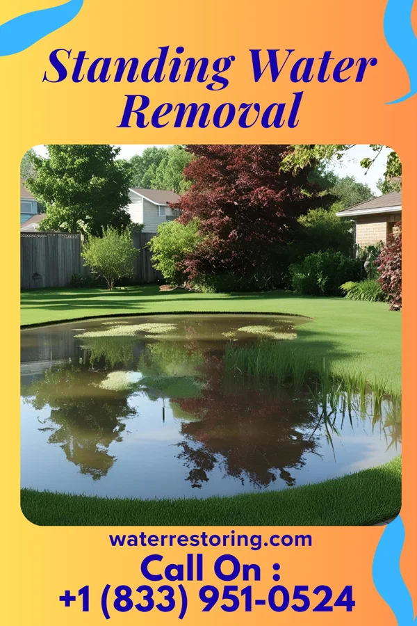 Standing Water Removal in Preston, TX